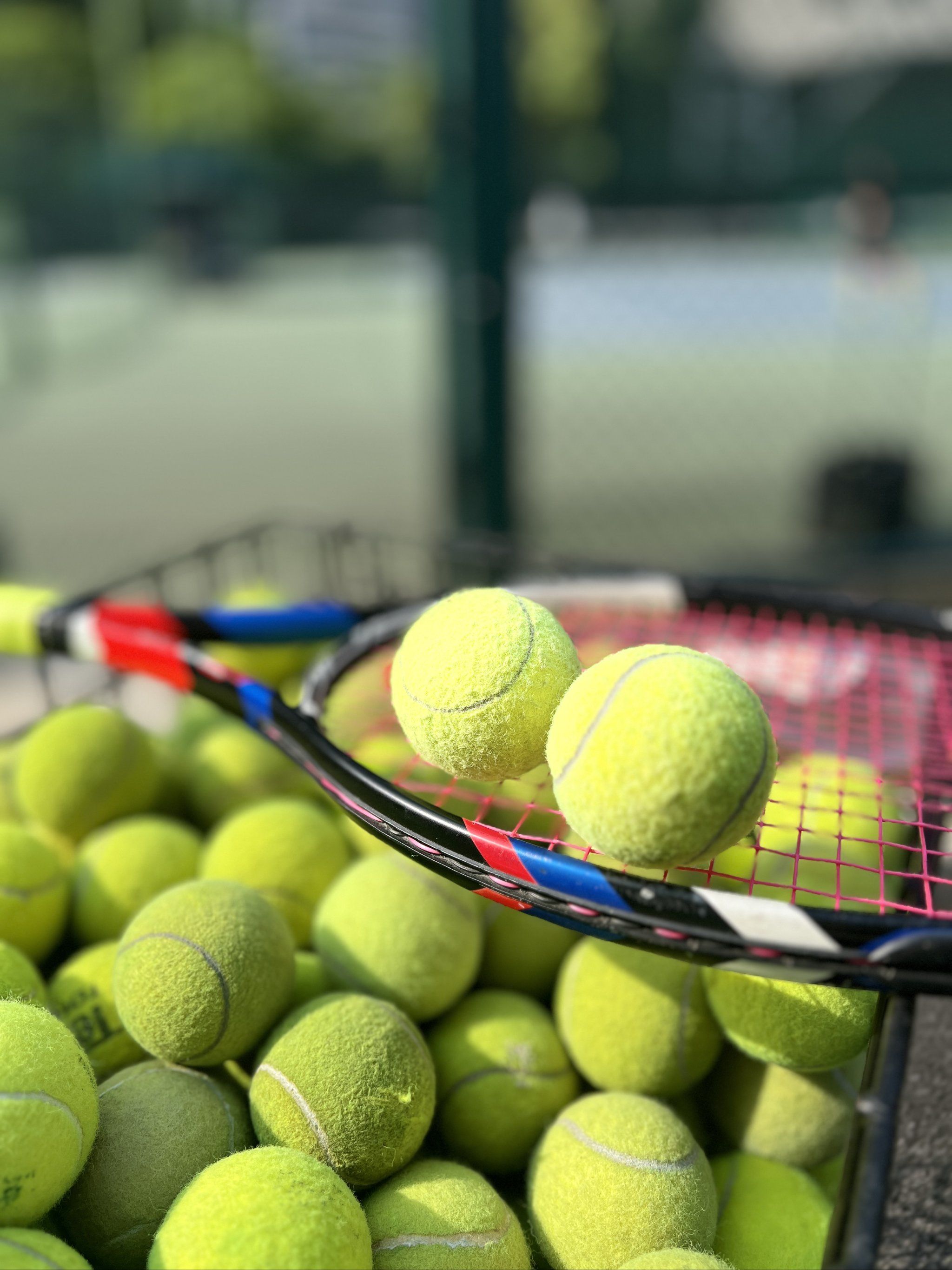 而本赛季双 而本赛季双