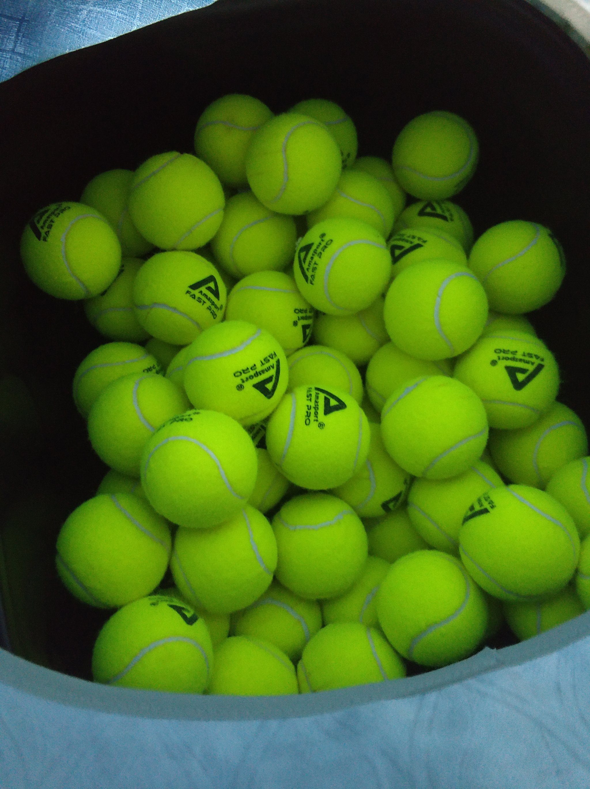 调整和战术 调整和战术