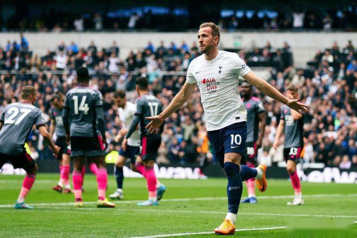 体机能和心 体机能和心