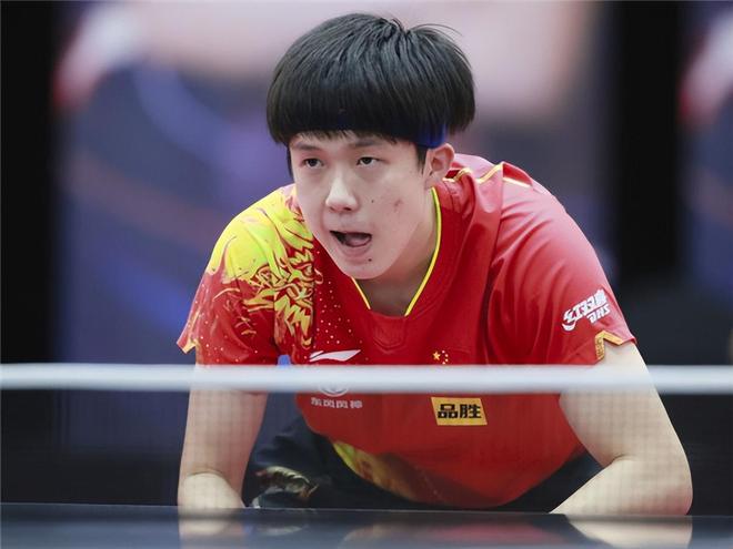 许多家庭的 许多家庭的