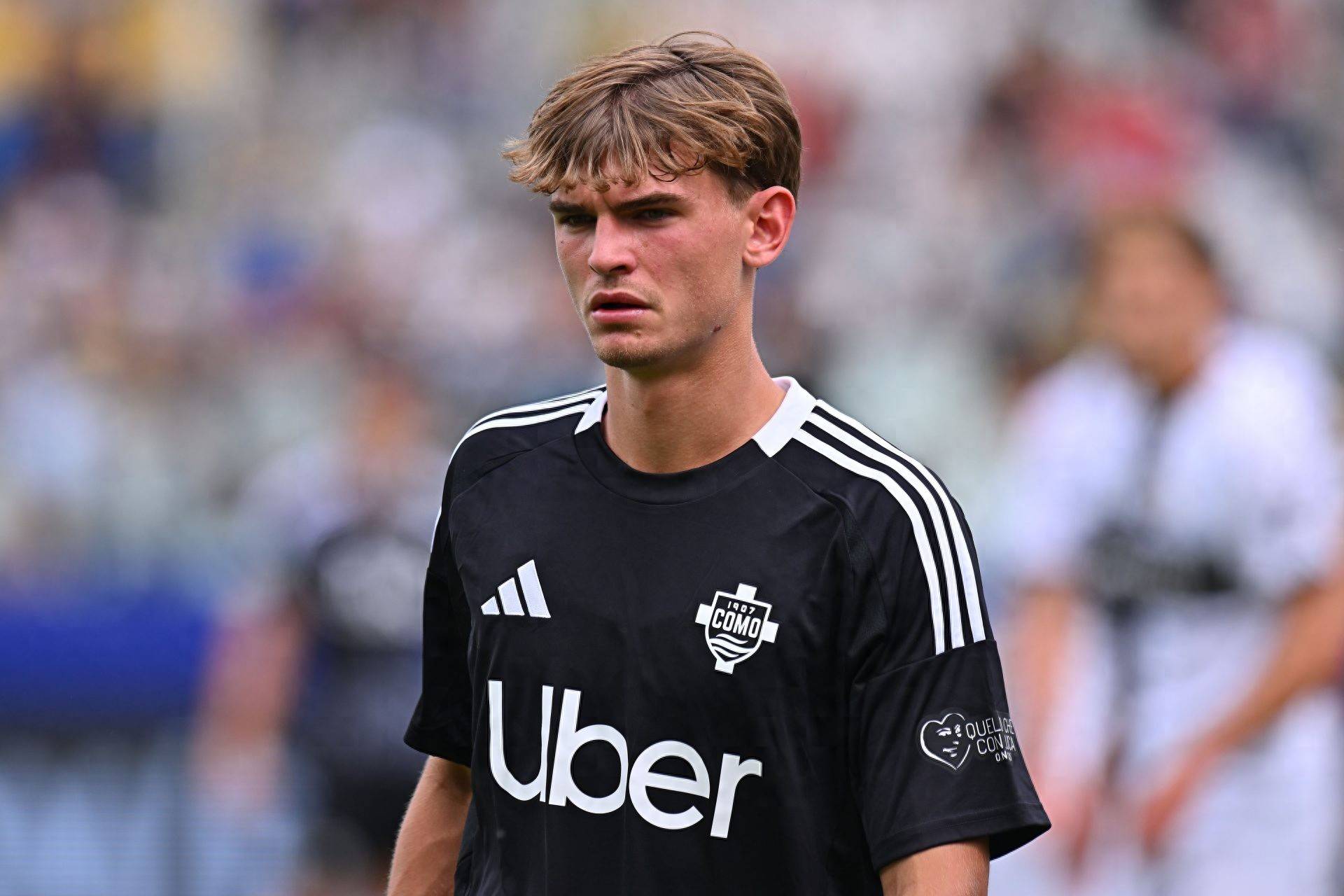 力的回归 力的回归